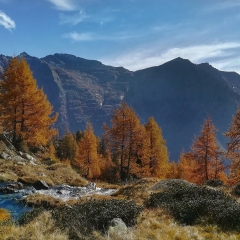 Alpe Casarola, Passo del Muretto, Alpe Poiala